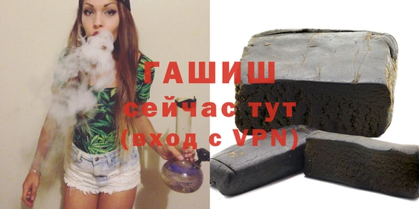 индика Ельня