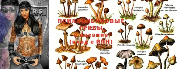 трава Алзамай